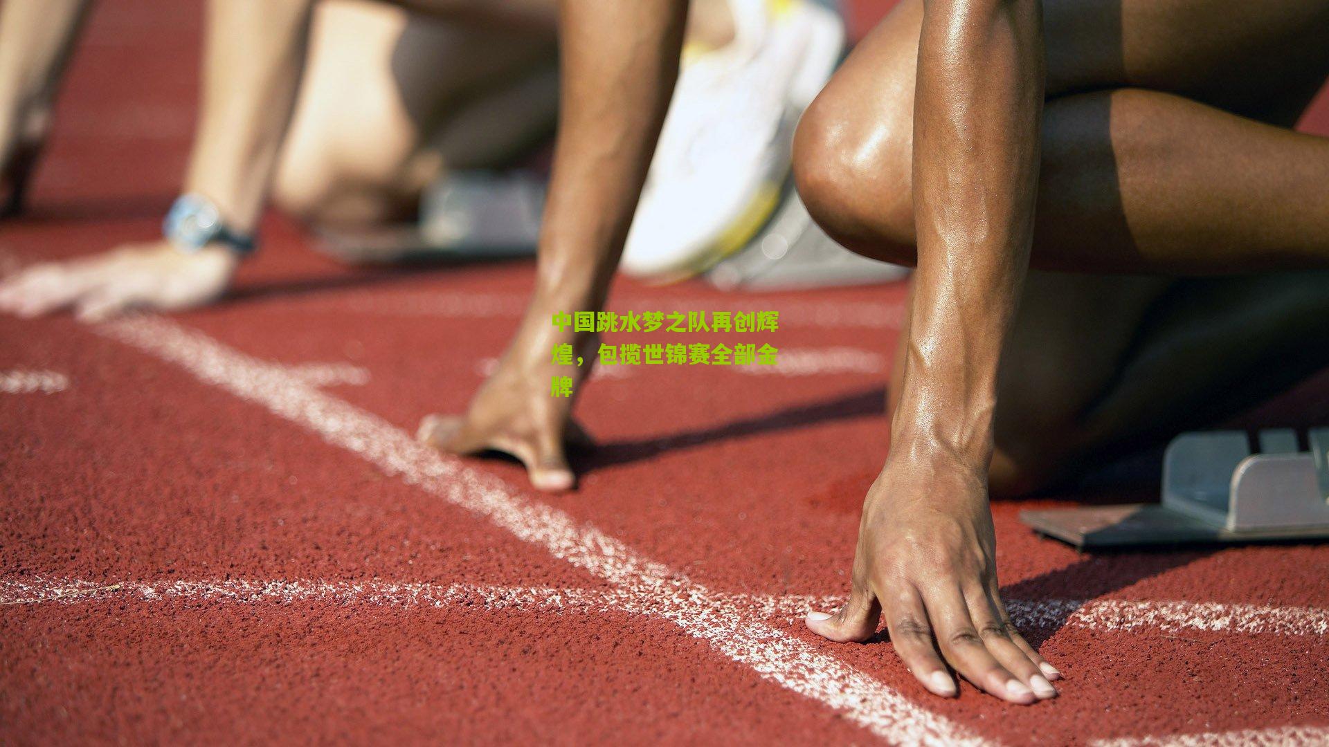 中国跳水梦之队再创辉煌，包揽世锦赛全部金牌