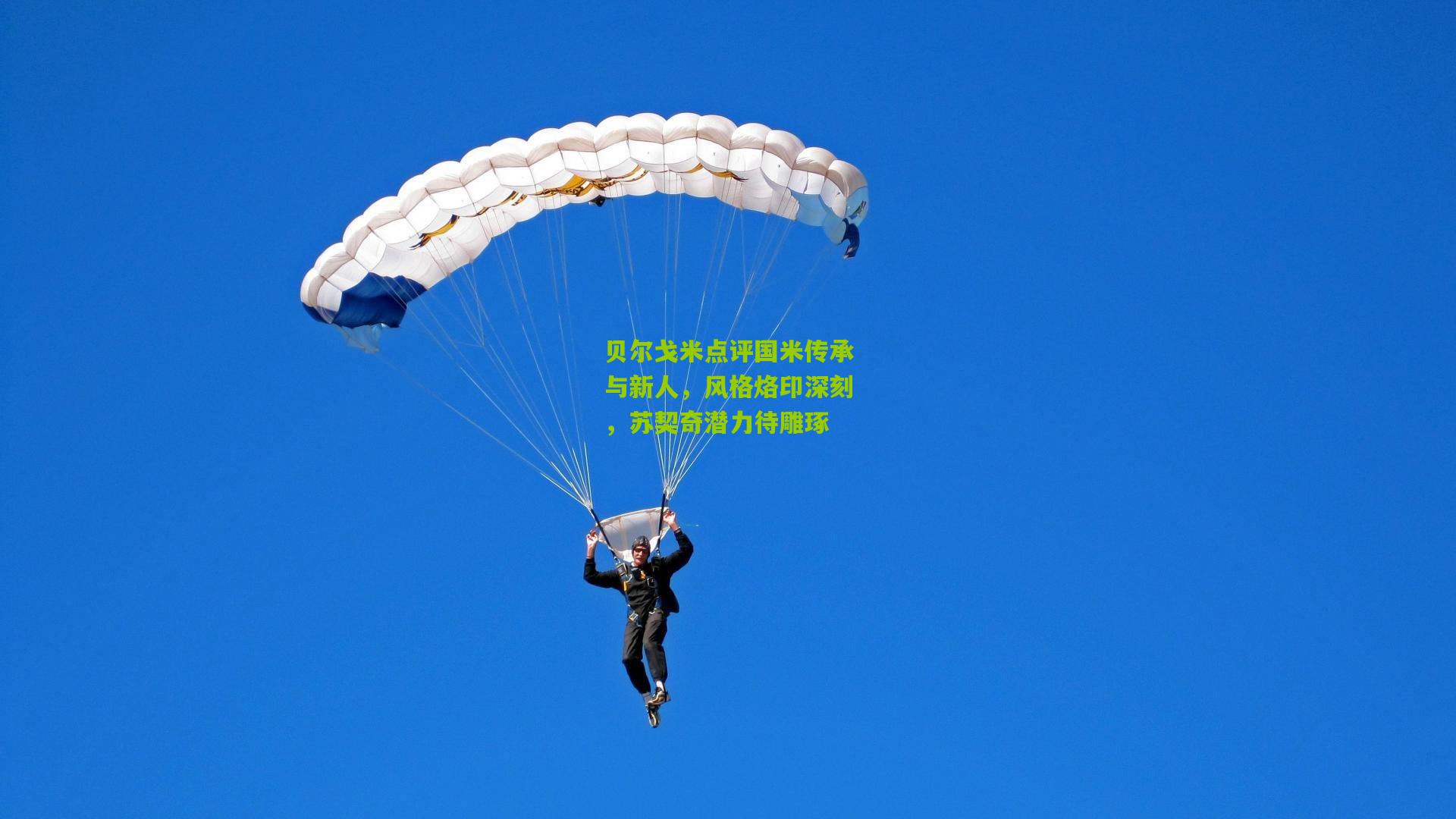 贝尔戈米点评国米传承与新人，风格烙印深刻，苏契奇潜力待雕琢